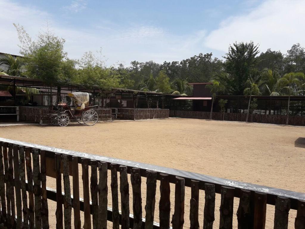 فندق مُوارفي  Hs Farm Waterpark المظهر الخارجي الصورة