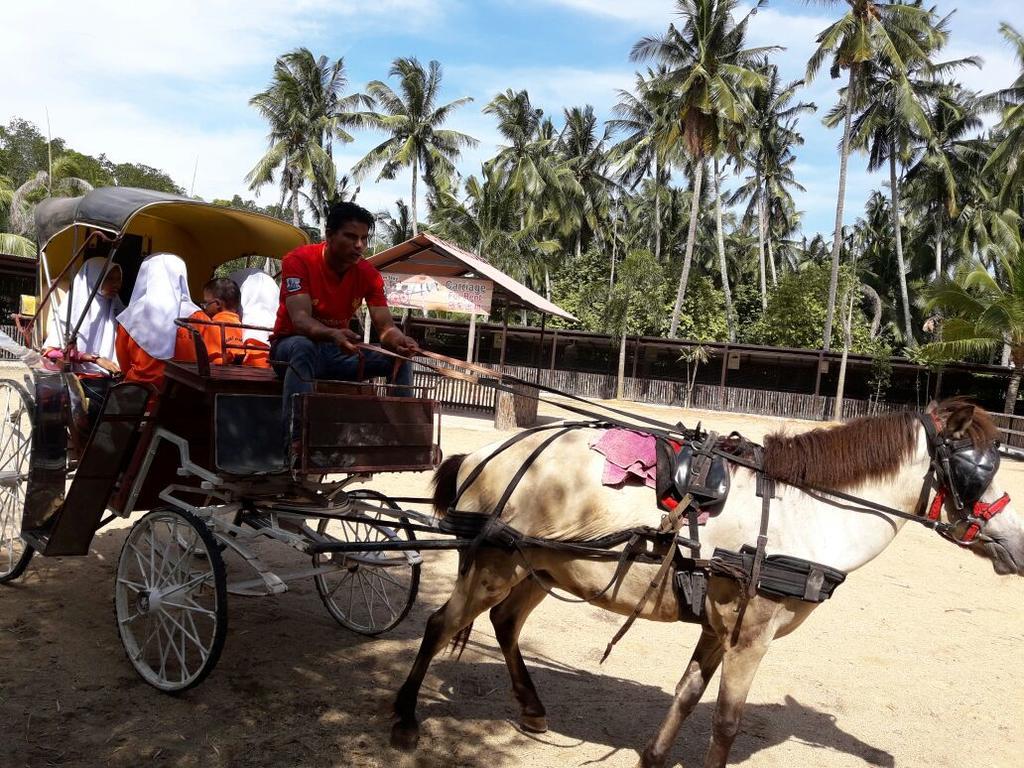 فندق مُوارفي  Hs Farm Waterpark المظهر الخارجي الصورة